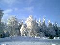 Winterbild1