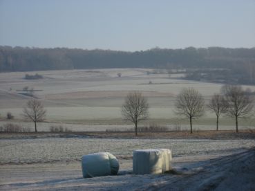 Winterimpressionen 2008/2009