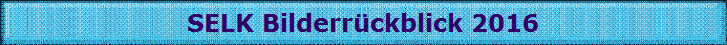 SELK Bilderrckblick 2016