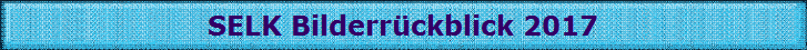 SELK Bilderrckblick 2017