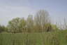 Frhjahrsimpressionen 2009